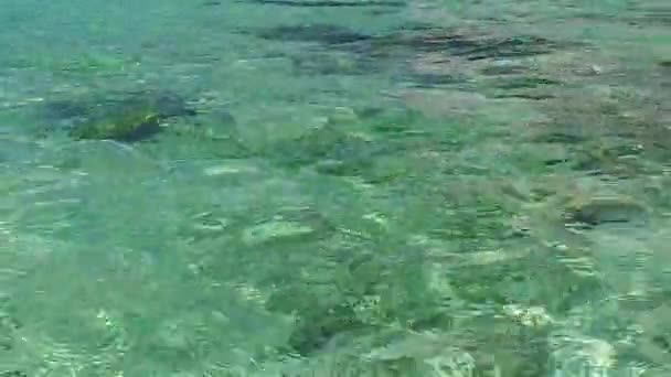 Lüks körfez sahili yaşam tarzını mavi yeşil su ve kumsalın yakınındaki beyaz kum arka planıyla kopyala — Stok video