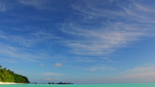 穏やかな海の景色の暖かい性質ヤシの木の近くに明るい砂浜の背景を持つ青い緑の海によるビーチライフスタイル — ストック動画