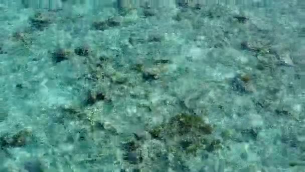 Prázdná textura idylické pobřeží pláž cesta modrým oceánem s bílým písečným pozadím v blízkosti letoviska — Stock video