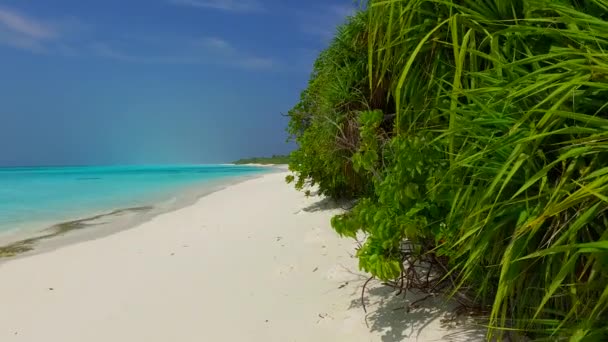 Zonnige textuur van exotische kustlijn strand wilde dieren door ondiepe zee met schone zandachtergrond in de buurt palmen — Stockvideo