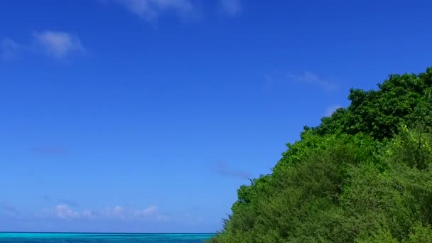 Kopírovat prostor přímořská krajina ráje Bay Beach volně žijící zvěř podle modré laguny s bílým pískem pozadí v blízkosti letoviska — Stock video