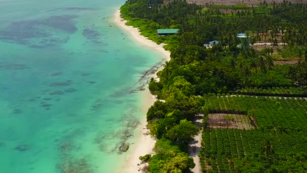 Meleg elvont paradicsomi üdülőhely strand kaland kék zöld óceán fehér homokos háttér naplemente előtt — Stock videók
