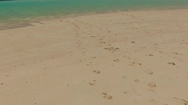 Lege textuur van mariene toeristische strand levensstijl door blauwe zee en wit zand achtergrond in de buurt palmen — Stockvideo