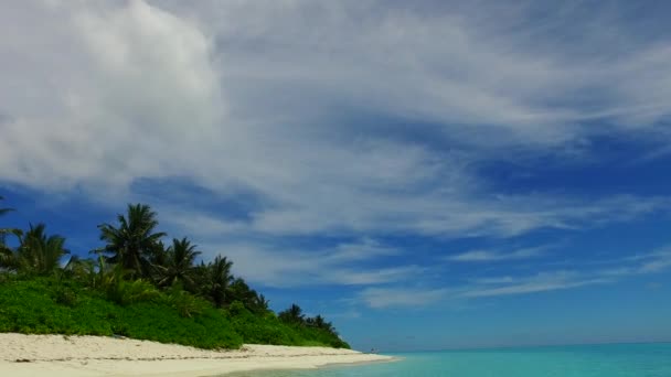 Abstrato vazio de estilo de vida bonito praia lagoa por mar azul-turquesa e fundo arenoso brilhante perto de palmas — Vídeo de Stock