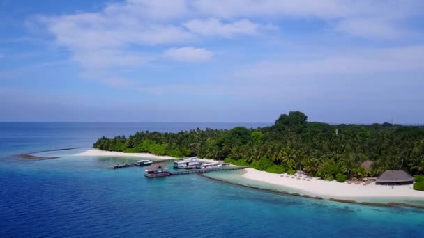 Cielo aéreo de drones de lujo costa playa fauna por el océano turquesa con fondo de arena blanca — Vídeos de Stock