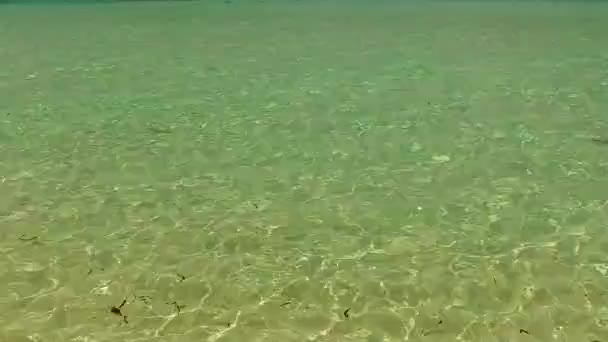 하얀 모래 배경이 있는 푸른 바다 옆의 아름다운 관광객들의 여행을 보여 주는 드론 공중 풍경 — 비디오