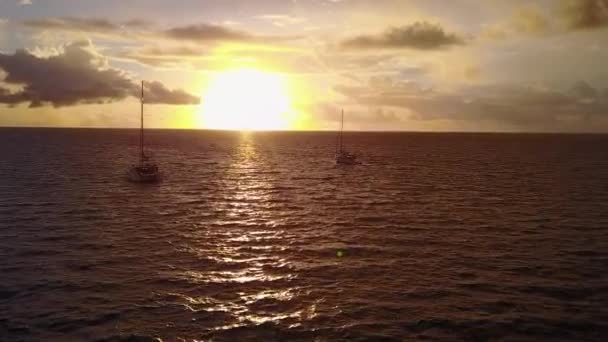 ヤシの近くに白い砂の背景と浅い海で完璧なラグーンのビーチの休日の日当たりの良い観光 — ストック動画