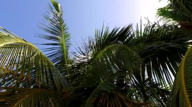 Mavi okyanus kıyısındaki tropik körfez sahil gezisinin geniş açılı manzarası. Beyaz kumlu arka plan güneş ışığı altında.