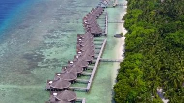 Temiz su ve palmiyelerin yakınındaki beyaz kum arka planıyla güzel turistik plaj macerasının uzay özetini kopyala