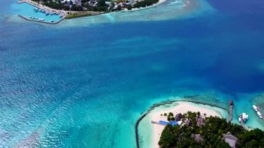 Sakin deniz kıyısı yolculuğunun güneşli dokusu mavi su ve palmiyelerin yakınındaki beyaz kumlu zemin