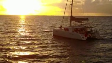 Güzel sahil yaban hayatının geniş açılı manzarası. Açık deniz kenarında. Resifin yanında beyaz kum arka planı var.