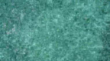 Cennet lagününün romantik turizmi. Mavi deniz kıyısında vahşi yaşam ve dalgaların yakınında beyaz kum arka planı.