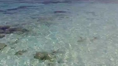 Sahil kenarında berrak su ve kumsal kenarında güneşli bir turizm.