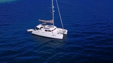 Deniz kıyısı macerasının güneşli doğası sığ su ve palmiyelerin yakınındaki beyaz kum arka planı.