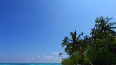 Mavi yeşil deniz kıyısındaki egzotik sahil yaban hayatının gündüz manzarası ve tatil köyü yakınlarındaki beyaz kumlu arka plan.