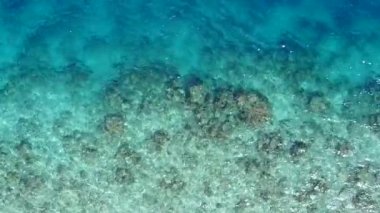 Güzel göl kıyısında sığ okyanus kıyısında güneşli bir gökyüzü ve palmiyelerin yakınında beyaz kumlu bir zemin.