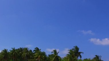 Sahil yaban hayatının, kumsalın yakınındaki temiz kum arka planına sahip mavi yeşil deniz kıyısındaki dokusunu kapat.