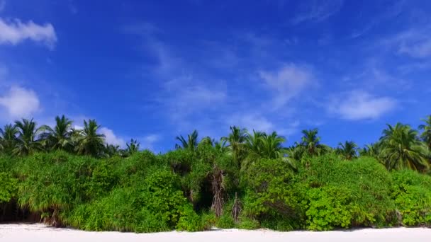 阳光下浅水白沙背景下的宁静海滨探险空间景观复制 — 图库视频影像
