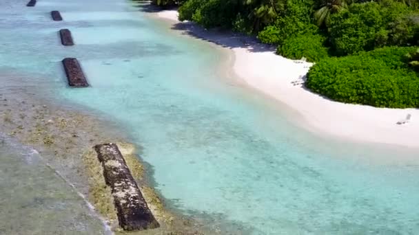 Natura aerea di tranquilla vista mare spiaggia fauna selvatica da laguna trasparente con sfondo di sabbia bianca — Video Stock