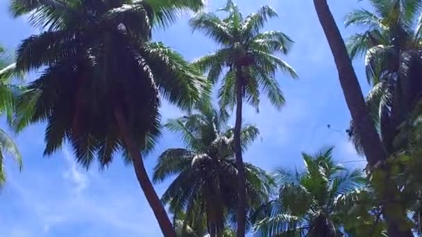 Turismo estivo di costa tropicale viaggio in spiaggia da acqua blu oceano e sabbia bianca sfondo vicino alle onde — Video Stock