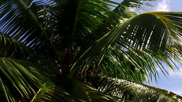 Zonnig panorama van het paradijs kust strand levensstijl door blauw groen water en wit zand achtergrond in de buurt van golven — Stockvideo