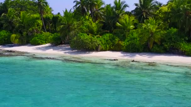 Romantiskt landskap idyllisk resort strand djurliv av blått hav med vit sand bakgrund före solnedgången — Stockvideo