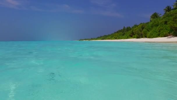 白沙滩背景的蓝海在珊瑚礁附近的夏日风景 — 图库视频影像