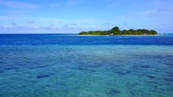 Close up scenery of idyllic shore beach wildlife by blue lagoon with white sand background near surf — Stock Video