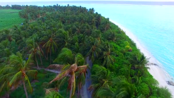 Céu de ângulo largo de viagem de praia turística idílica pelo mar azul do aqua com fundo arenoso branco perto de palmas — Vídeo de Stock