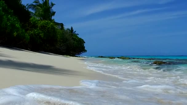 Romantische Meereslandschaft der paradiesischen Insel Strand Tierwelt durch blaues Wasser mit hellem sandigen Hintergrund nach Sonnenaufgang — Stockvideo