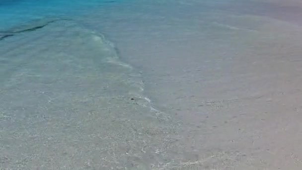 太陽の光の下で明るい砂の背景を持つターコイズブルーの海によるエキゾチックな海岸の冒険の日当たりの良い性質 — ストック動画