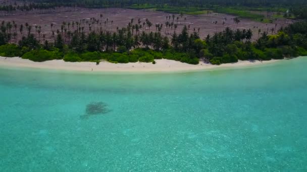 Panorama grand angle de vacances relaxantes au bord de la mer au bord de l'eau bleue avec fond sablonneux blanc près du banc de sable — Video