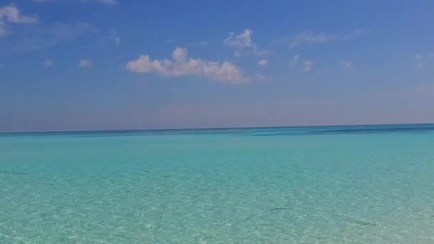 Copiez l'espace nature de vacances tranquilles à la plage au bord de l'eau peu profonde avec un fond sablonneux brillant près du banc de sable — Video