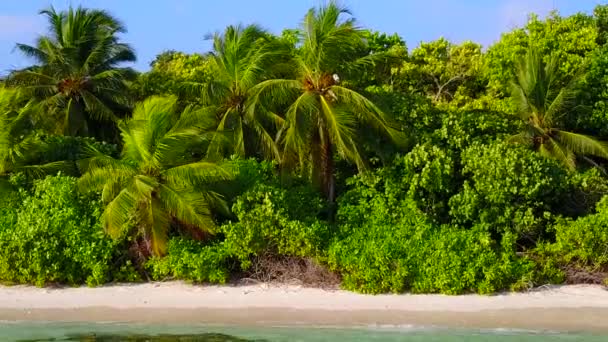 Scenario soleggiato di esotico viaggio spiaggia riva da acque poco profonde e sfondo di sabbia bianca vicino onde — Video Stock