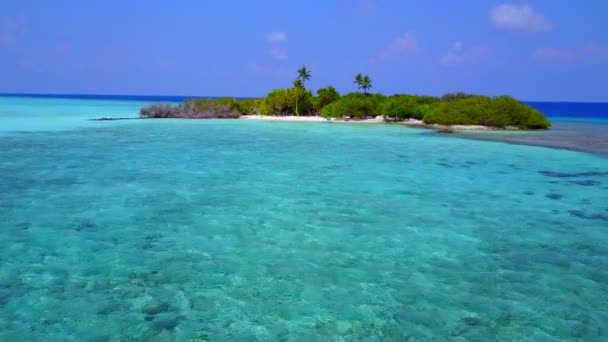 波の近くに浅い海と白い砂浜の背景によって完璧な島のビーチの野生生物の夏の風景 — ストック動画