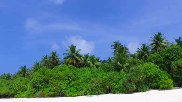 Romantico cielo di tranquilla isola vacanza al mare blu con sfondo di sabbia pulita vicino alla barriera corallina — Video Stock
