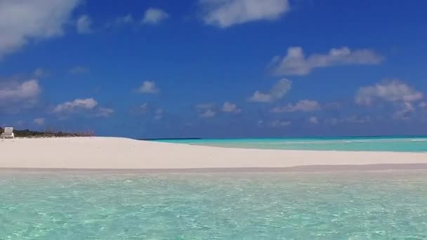 Paesaggio estivo di costa tropicale spiaggia fauna selvatica da oceano poco profondo con sfondo di sabbia bianca vicino a banco di sabbia — Video Stock