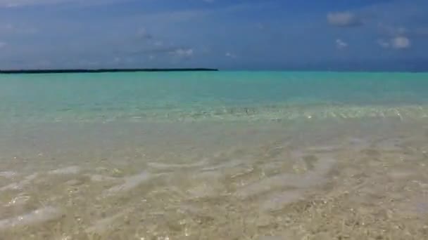 Tropikal ada sahil yaban hayatının dokusunu şeffaf okyanus kenarındaki kumsalın yakınındaki beyaz kum arka planıyla kapatın. — Stok video