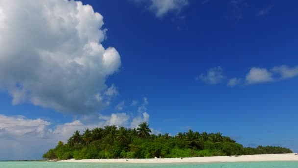 Copia spazio astratto di spiaggia tropicale spiaggia fauna selvatica dal mare blu e sfondo di sabbia bianca vicino banco di sabbia — Video Stock