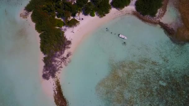 Panorama vazio de férias perfeitas na praia litorânea por mar azul-turquesa e fundo arenoso limpo à luz do sol — Vídeo de Stock
