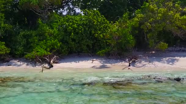 Lucht karakter van luxe strand reis door transparant water en schone zandachtergrond — Stockvideo