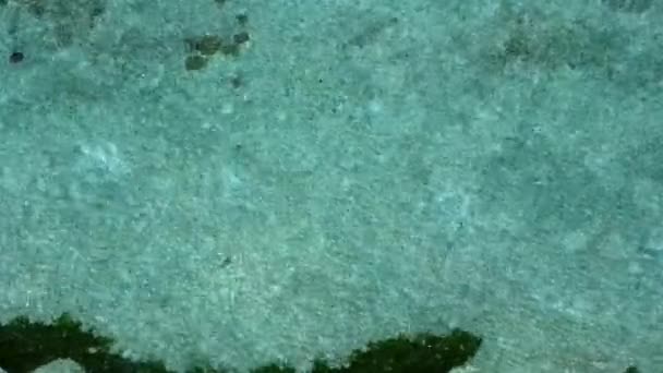Natura estiva della baia marina tempo di spiaggia da chiaro oceano e sfondo di sabbia bianca prima del tramonto — Video Stock
