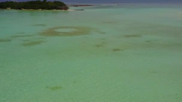 Slunečné panorama mořské turistické pláže volně žijících živočichů v modré vodě s bílým pískem pozadí v blízkosti písečného břehu — Stock video