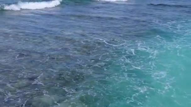 蓝海白沙背景下完美海景海滩野生动物的浪漫本性 — 图库视频影像