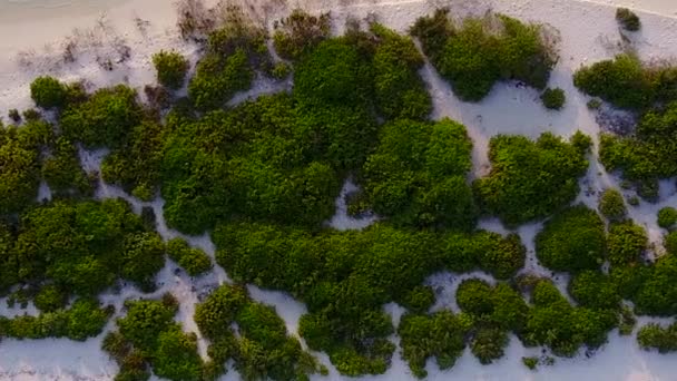 砂浜の近くに青いラグーンと白い砂浜の背景による海洋性海岸のビーチトリップの日当たりの良い抽象 — ストック動画