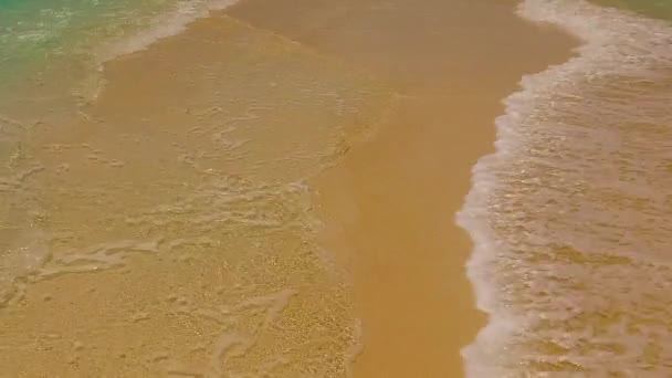 Tagestourismus exotischer Küstenstrandtour durch transparente Lagune mit weißem Sandhintergrund nach Sonnenaufgang — Stockvideo