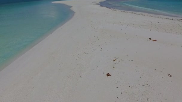 Летняя природа роскошных туристических пляжей дикой природы на мелководье океана и белого песчаного фона рядом с пальмами — стоковое видео