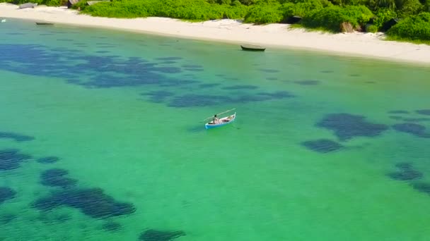 Turismo ensolarado de costa tropical praia vida selvagem por lagoa clara com fundo arenoso branco perto de ondas — Vídeo de Stock