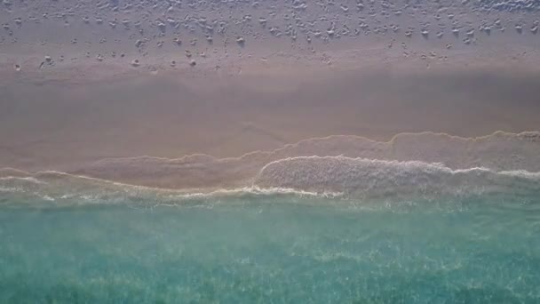 Lege textuur van tropische kust strand reis door ondiepe lagune met schone zandachtergrond in de buurt van palmen — Stockvideo