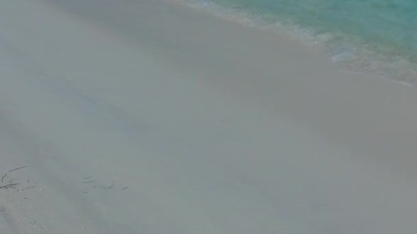 Leeg landschap van exotische kust strand wilde dieren door ondiepe zee en wit zand achtergrond in de buurt van surfen — Stockvideo